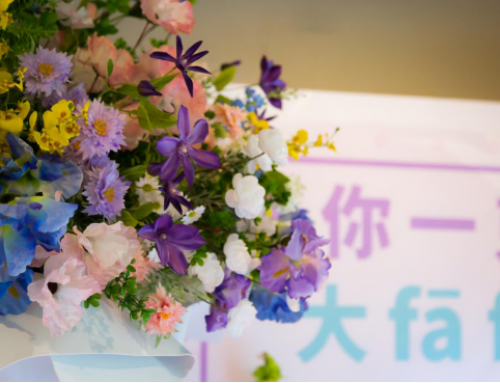 “洗”迎新年！2.5米高巨型大FAFA亮相汤都，七重惊喜向新春献礼