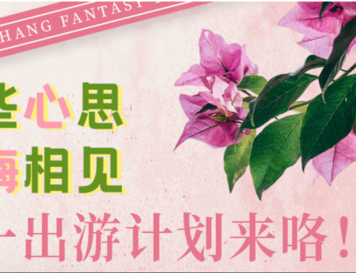 刘畊宏女孩请注重，五一锁定不夜城，一起美梅相见！