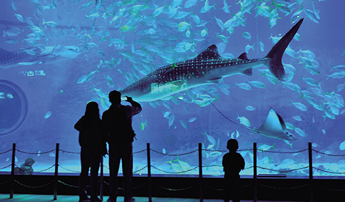 冰球突破-冰球电游豪华版_MG冰球游戏