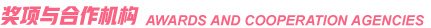 奖项与相助机构