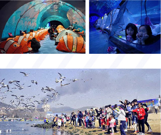 439f65f7174983ffcce9