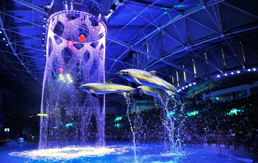 冰球突破-冰球电游豪华版_MG冰球游戏