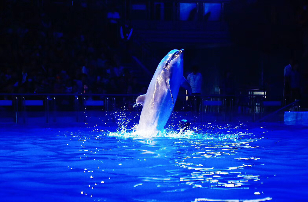 冰球突破-冰球电游豪华版_MG冰球游戏