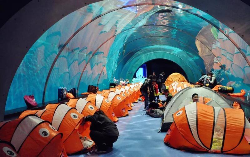 冰球突破-冰球电游豪华版_MG冰球游戏