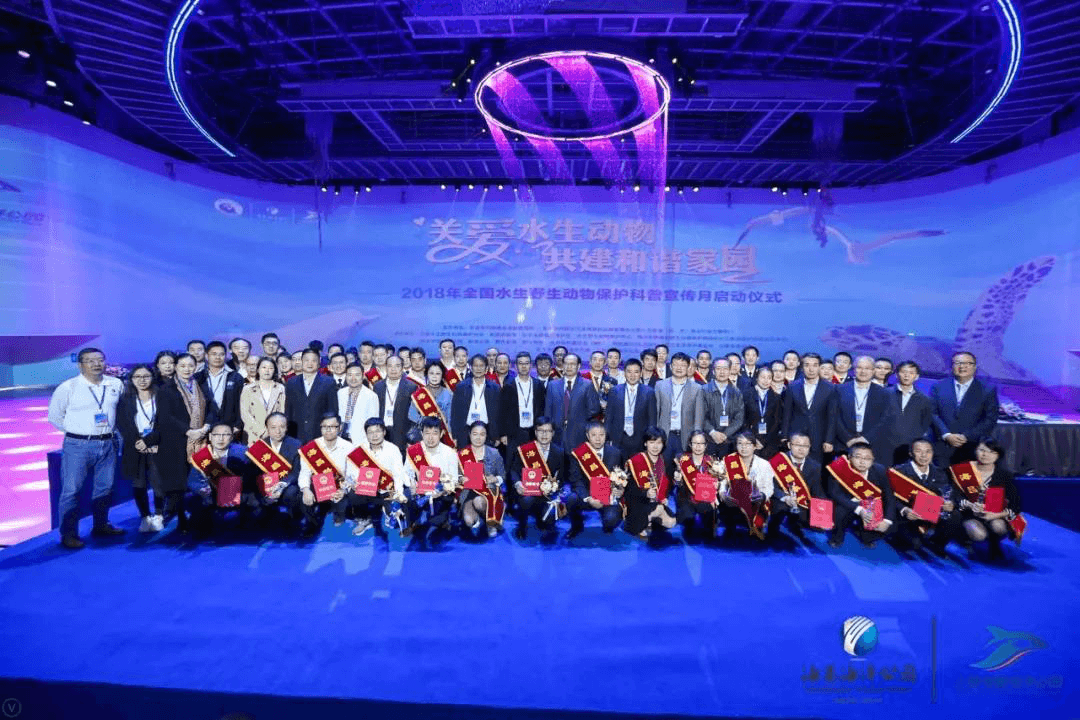 冰球突破-冰球电游豪华版_MG冰球游戏