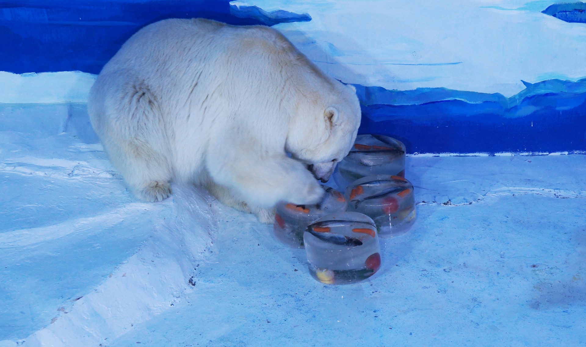 冰球突破-冰球电游豪华版_MG冰球游戏
