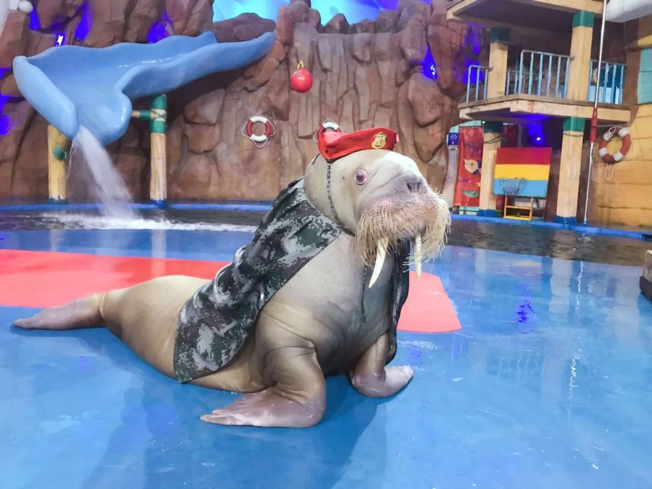 冰球突破-冰球电游豪华版_MG冰球游戏