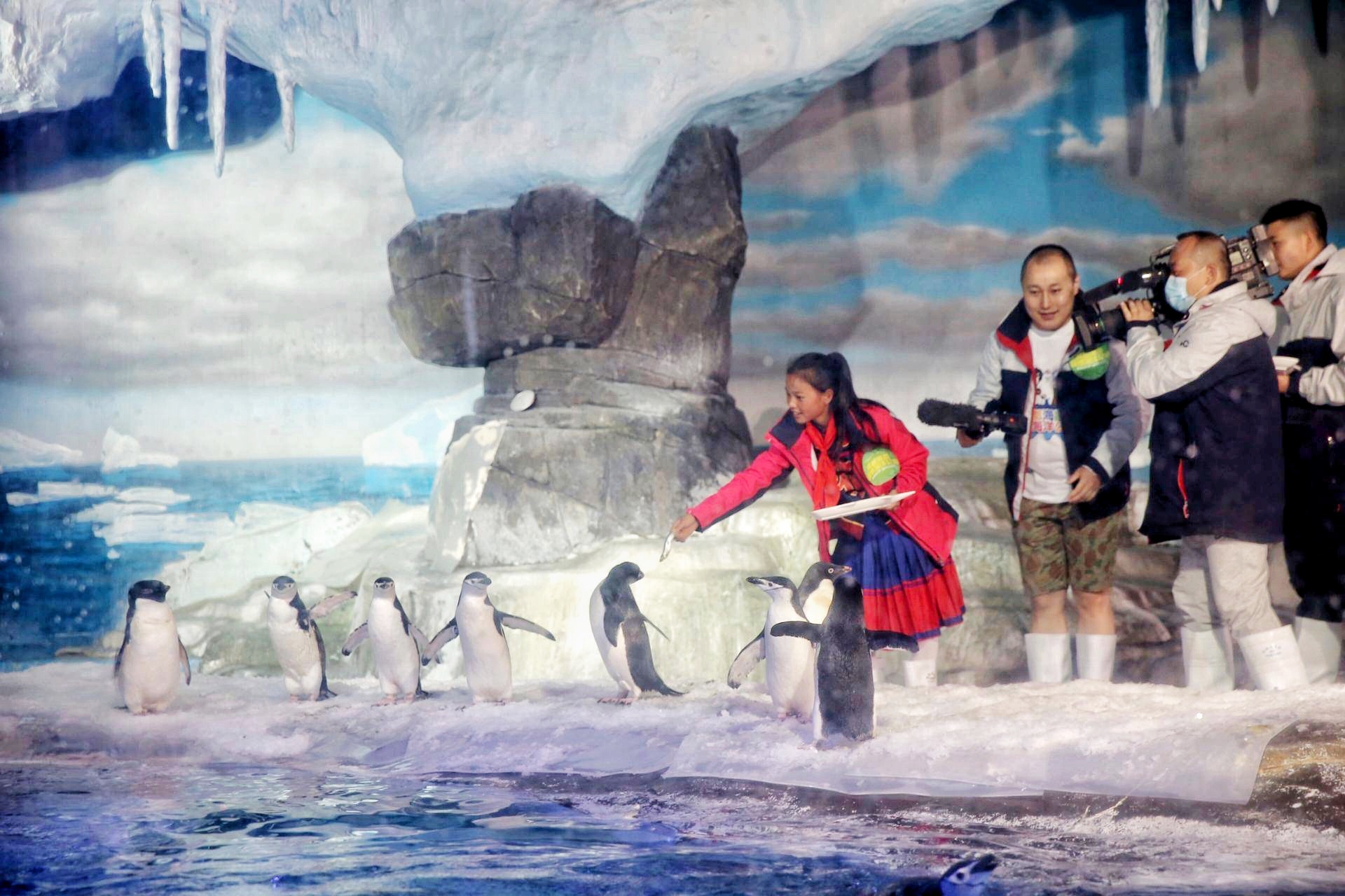 冰球突破-冰球电游豪华版_MG冰球游戏