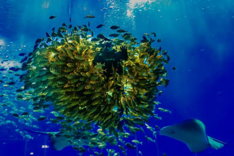 冰球突破-冰球电游豪华版_MG冰球游戏