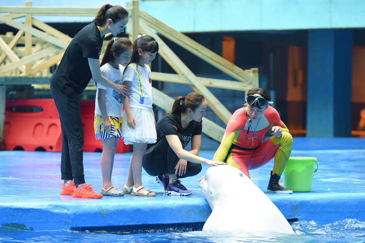 冰球突破-冰球电游豪华版_MG冰球游戏