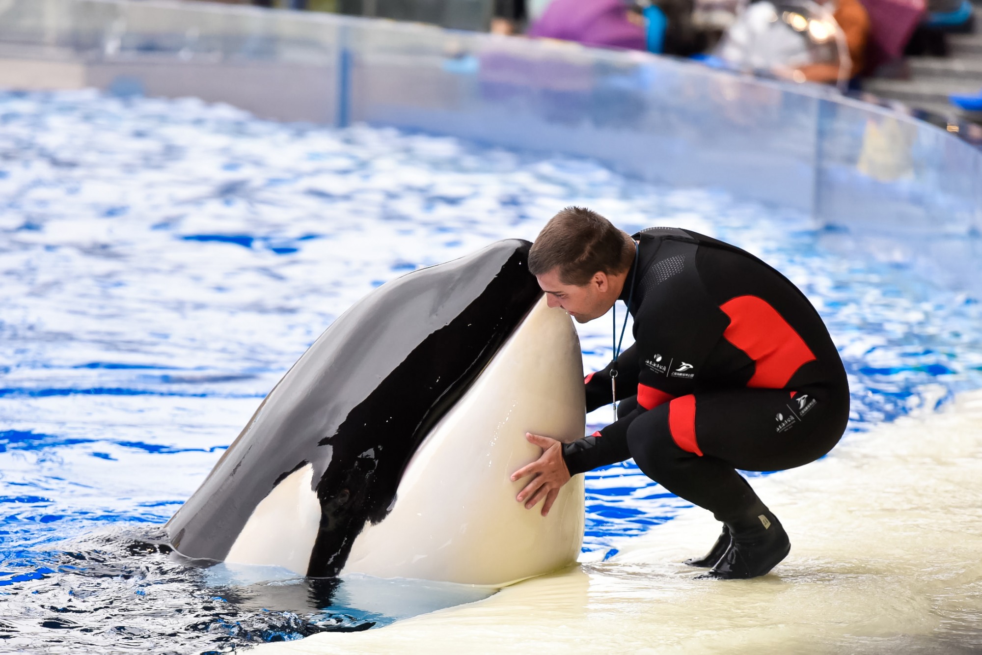 冰球突破-冰球电游豪华版_MG冰球游戏