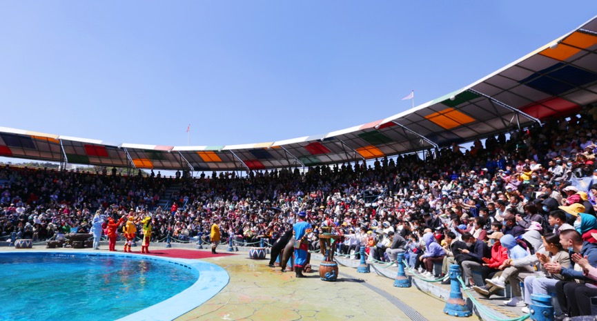 冰球突破-冰球电游豪华版_MG冰球游戏