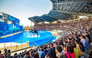 冰球突破-冰球电游豪华版_MG冰球游戏