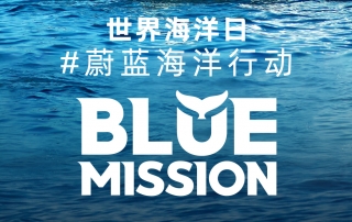 冰球突破-冰球电游豪华版_MG冰球游戏