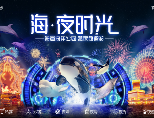 冰球突破X携程共创高端一体化夜游产品 配合开启“主题乐园夜经济元年”