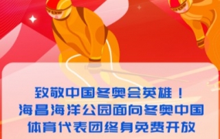 冰球突破-冰球电游豪华版_MG冰球游戏