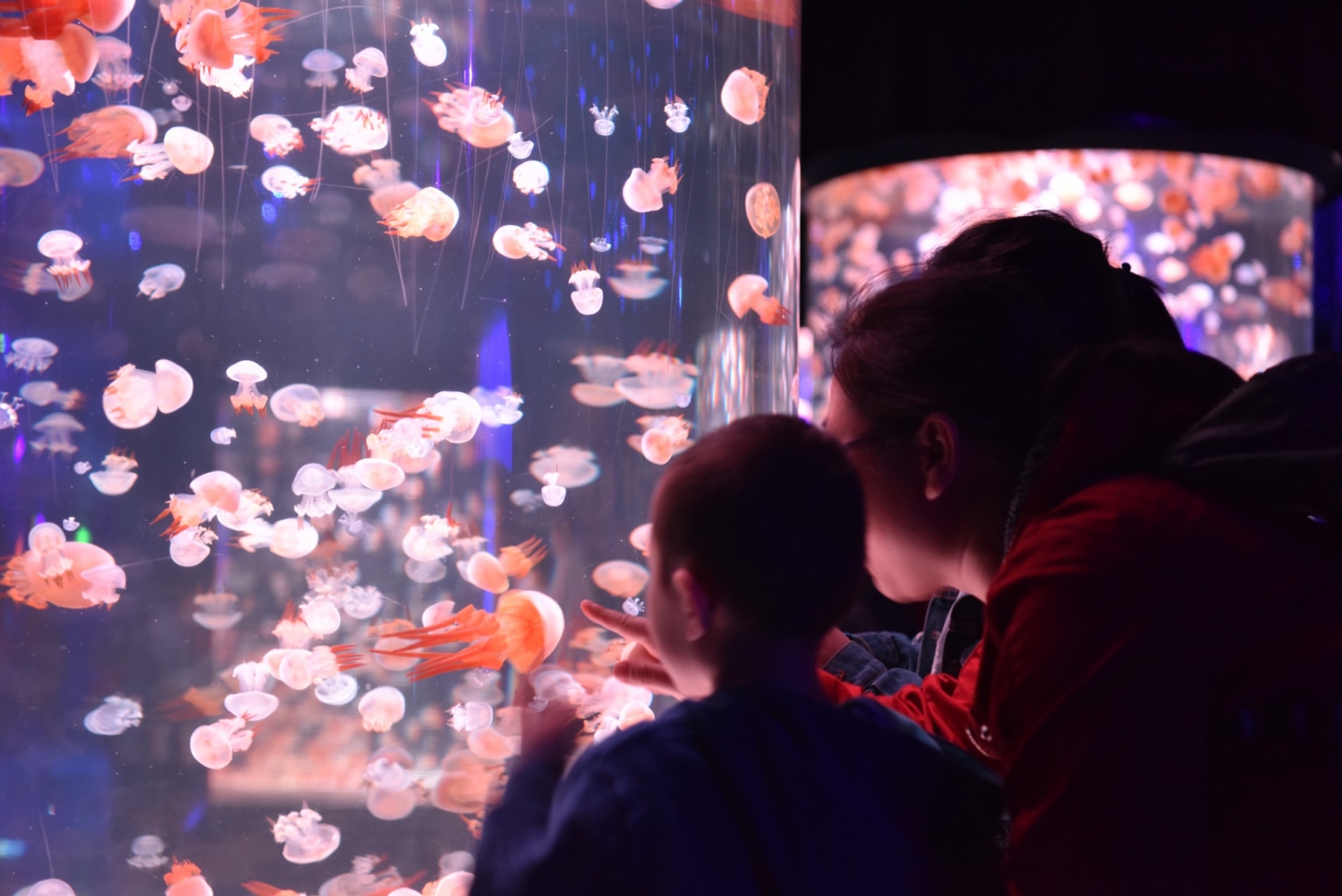 冰球突破-冰球电游豪华版_MG冰球游戏