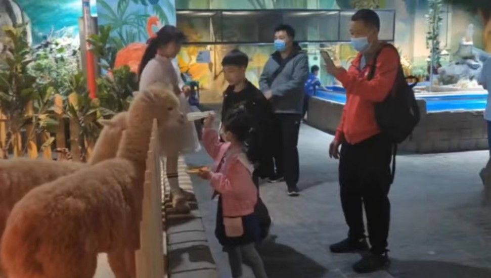 冰球突破-冰球电游豪华版_MG冰球游戏