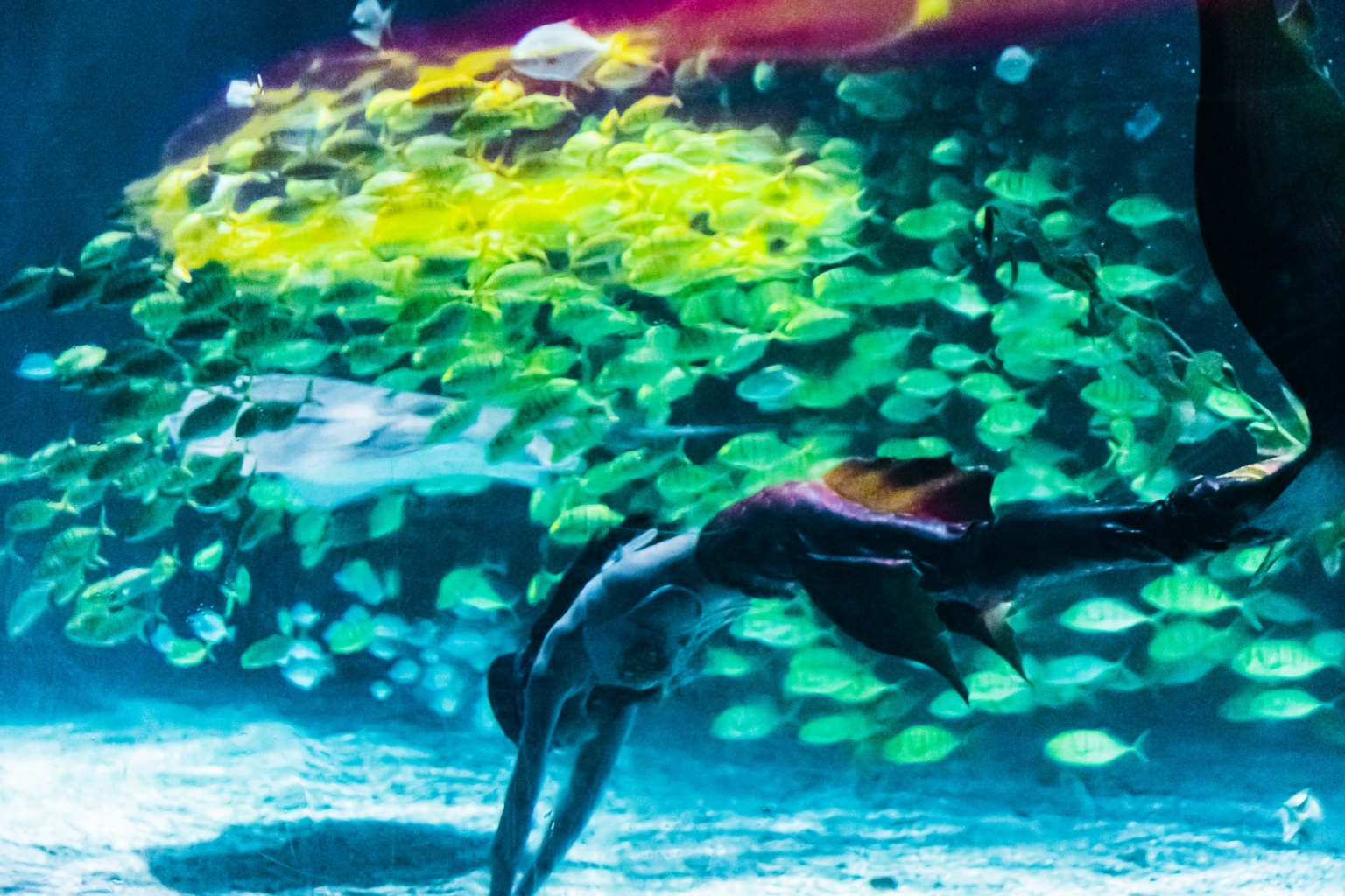 冰球突破-冰球电游豪华版_MG冰球游戏