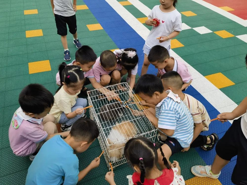 冰球突破-冰球电游豪华版_MG冰球游戏