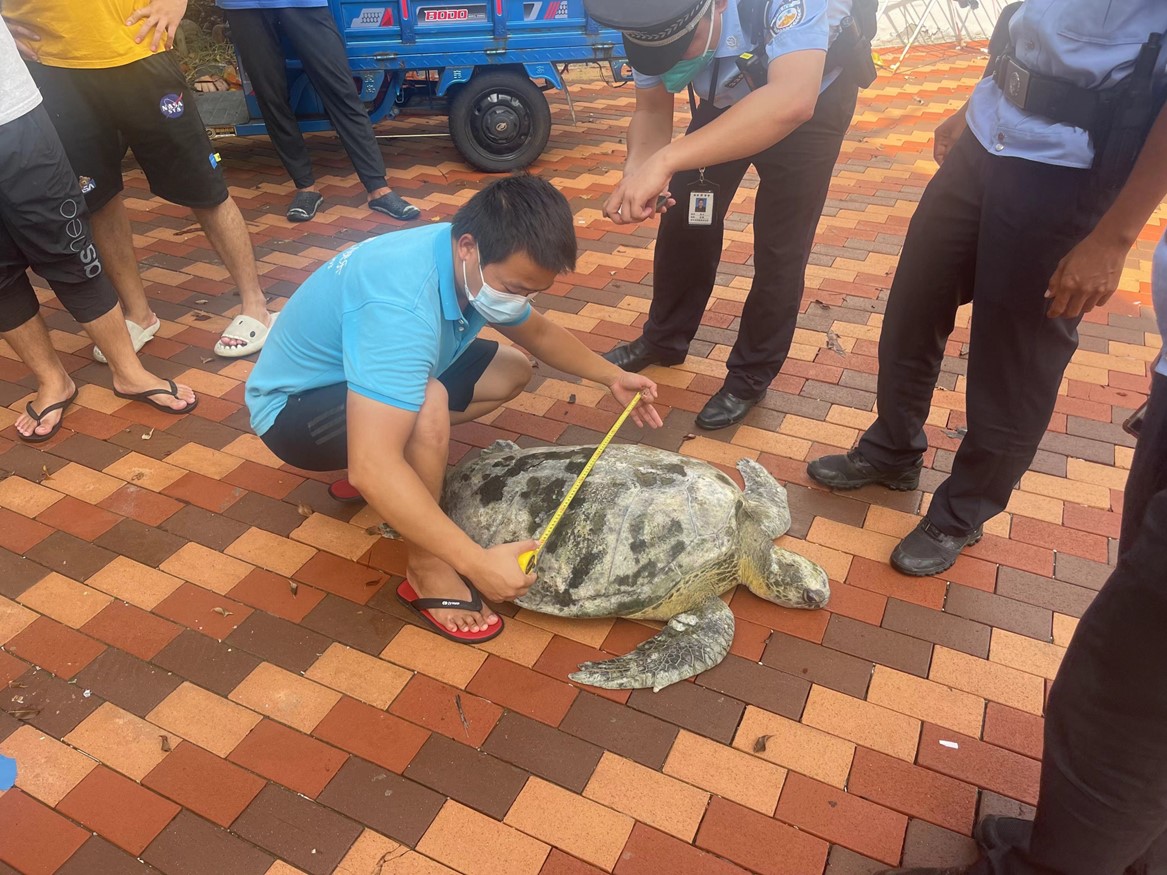 冰球突破-冰球电游豪华版_MG冰球游戏