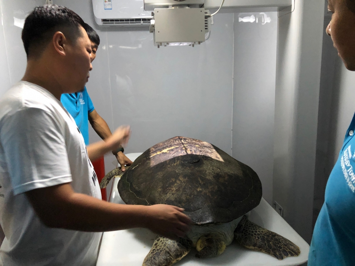 冰球突破-冰球电游豪华版_MG冰球游戏