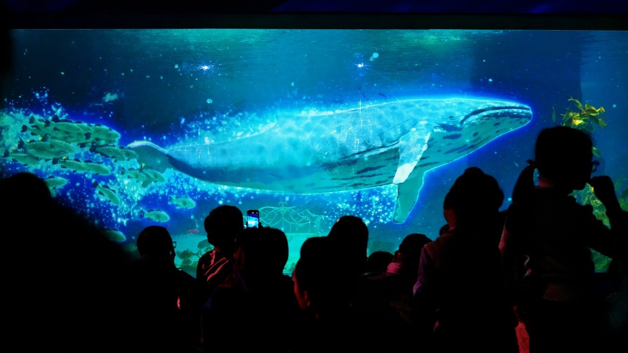 冰球突破-冰球电游豪华版_MG冰球游戏