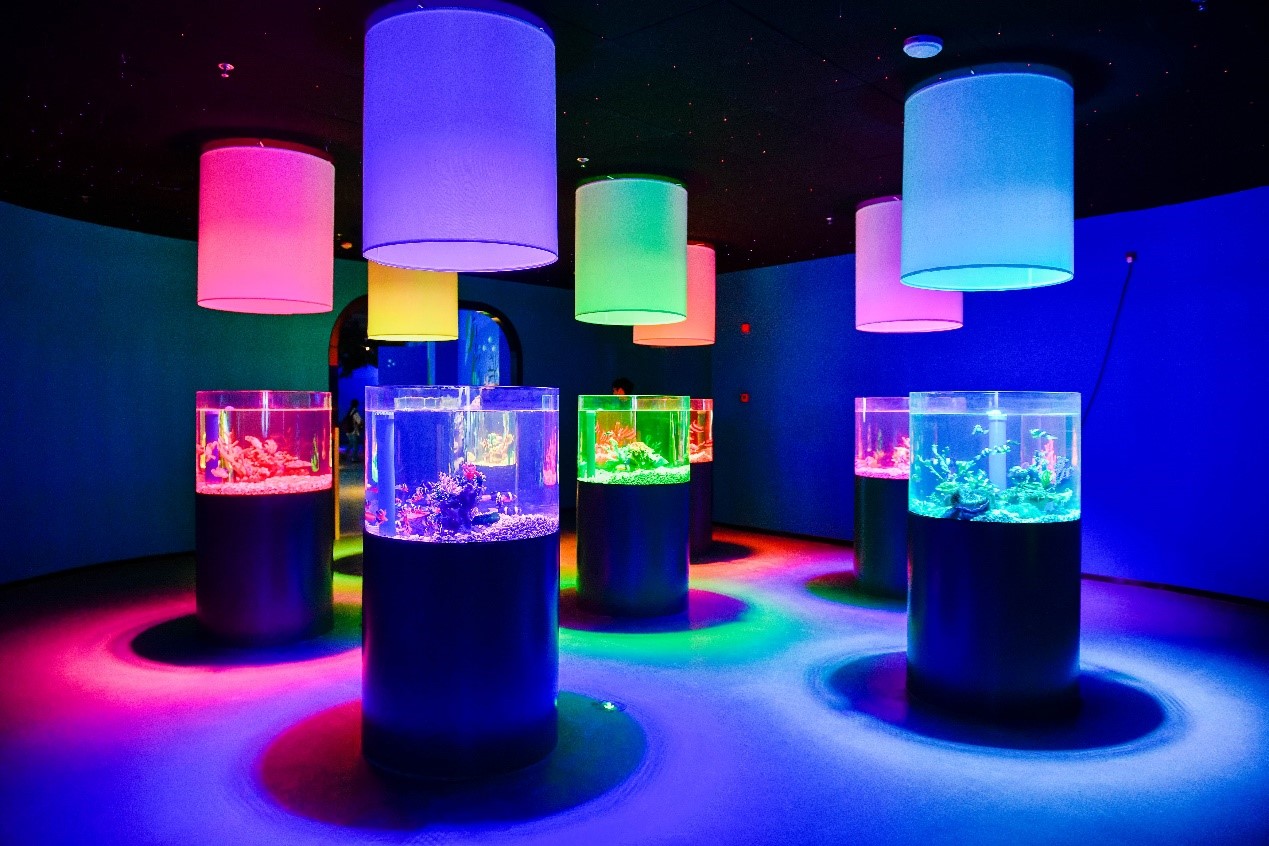 冰球突破-冰球电游豪华版_MG冰球游戏