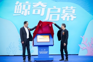 冰球突破-冰球电游豪华版_MG冰球游戏