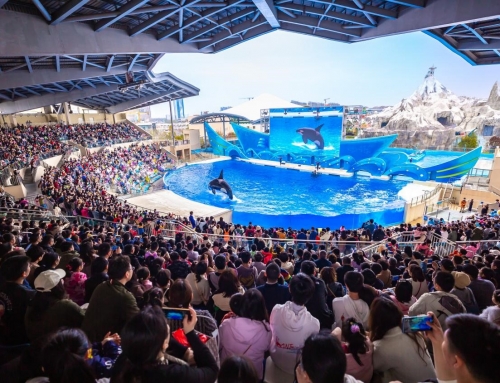 冰球突破海洋公园携手沙特政府旅游开展基金TDF，，打造天下级海洋综合主题公园度假区