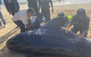 冰球突破-冰球电游豪华版_MG冰球游戏