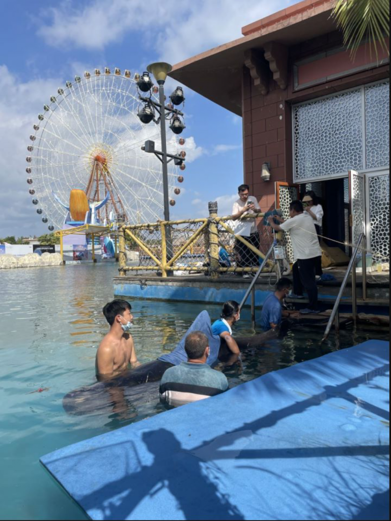 冰球突破-冰球电游豪华版_MG冰球游戏