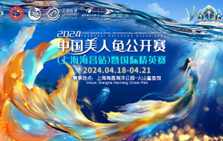 冰球突破-冰球电游豪华版_MG冰球游戏