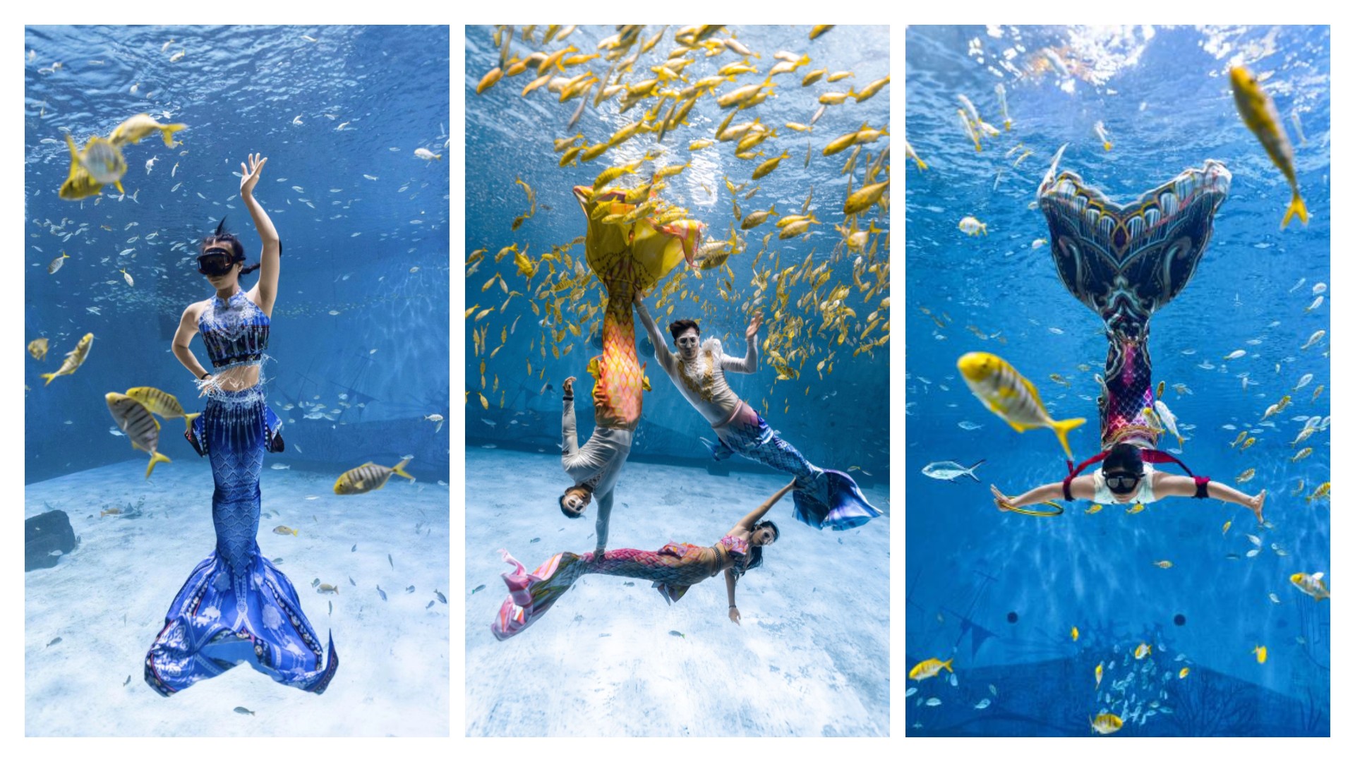 冰球突破-冰球电游豪华版_MG冰球游戏