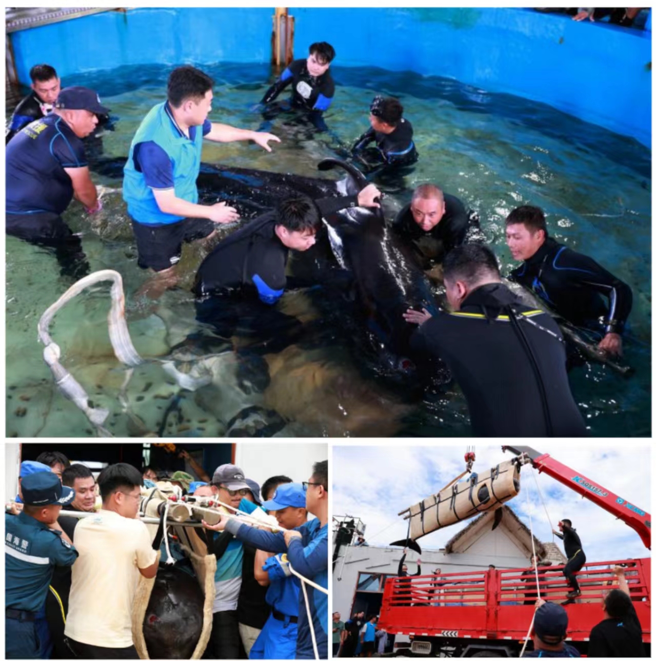 冰球突破-冰球电游豪华版_MG冰球游戏