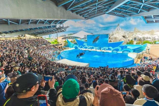 冰球突破-冰球电游豪华版_MG冰球游戏