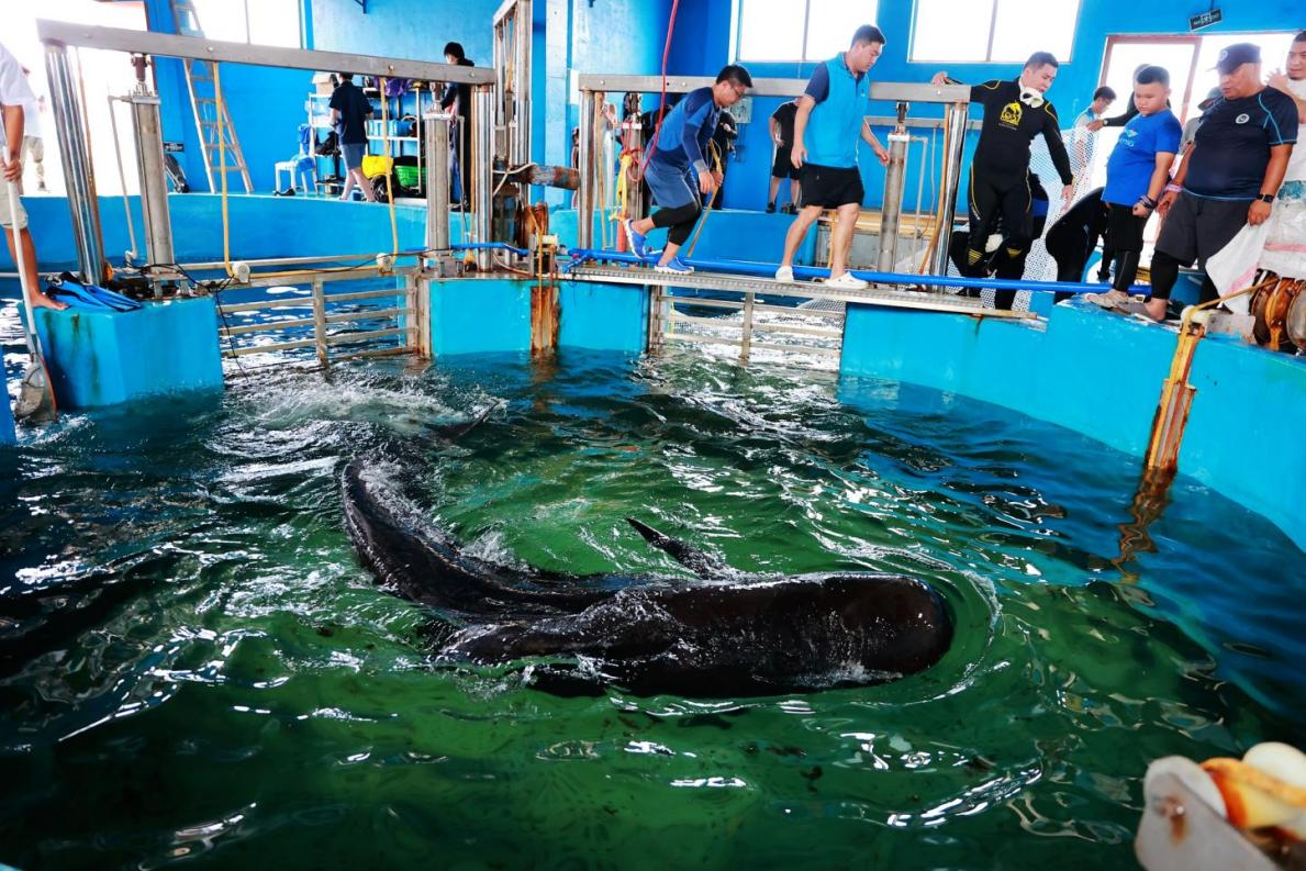 冰球突破-冰球电游豪华版_MG冰球游戏