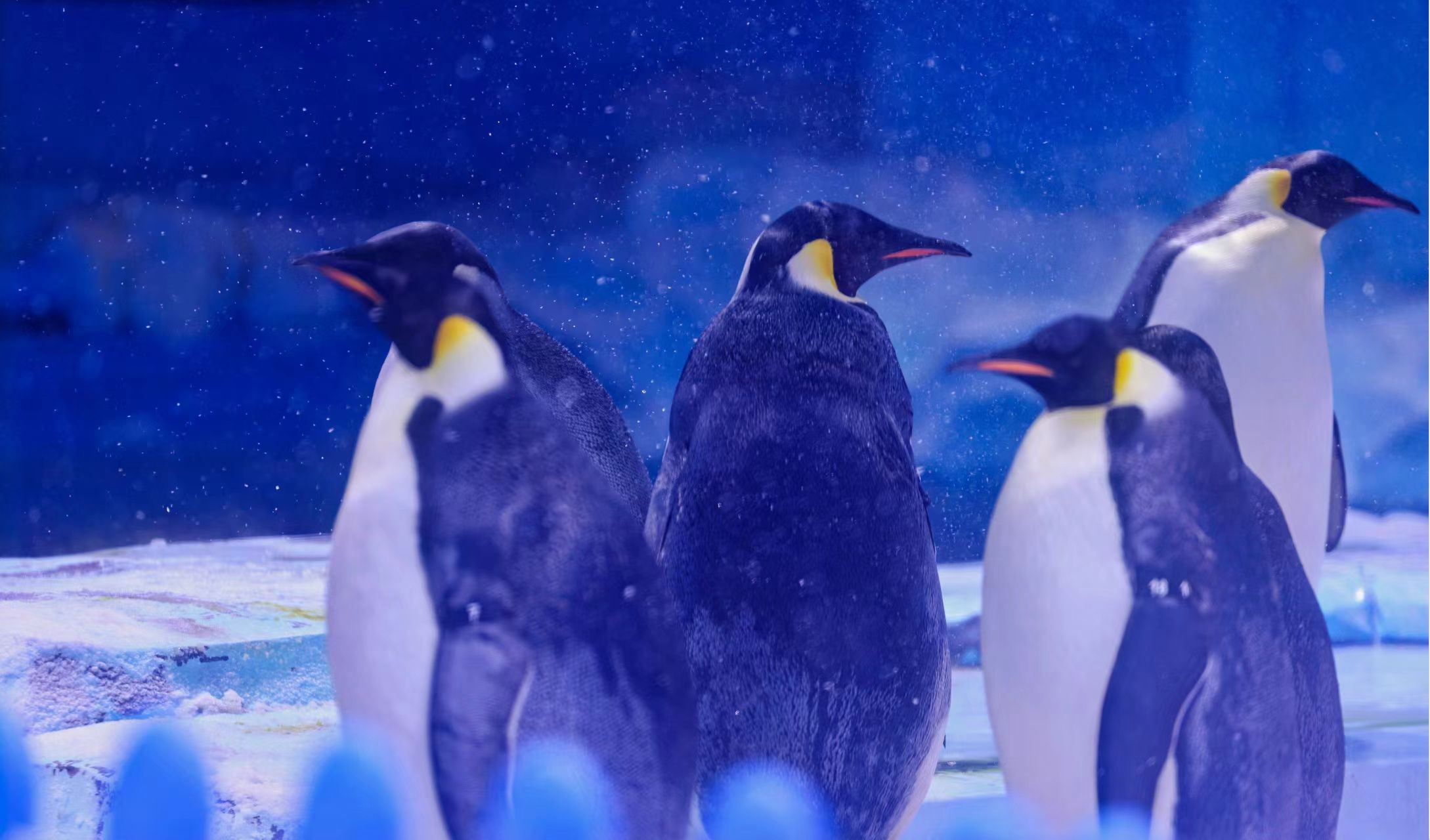 冰球突破-冰球电游豪华版_MG冰球游戏