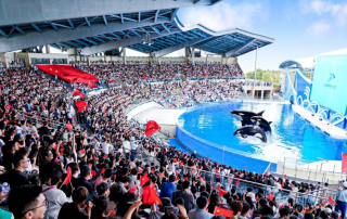 冰球突破-冰球电游豪华版_MG冰球游戏