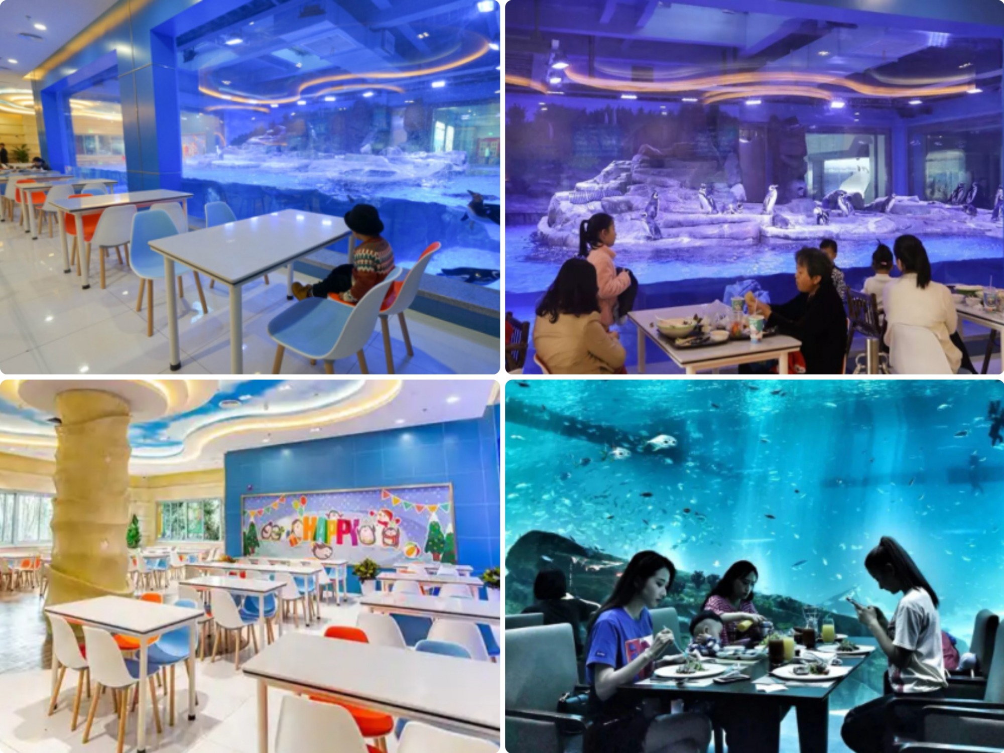 冰球突破-冰球电游豪华版_MG冰球游戏