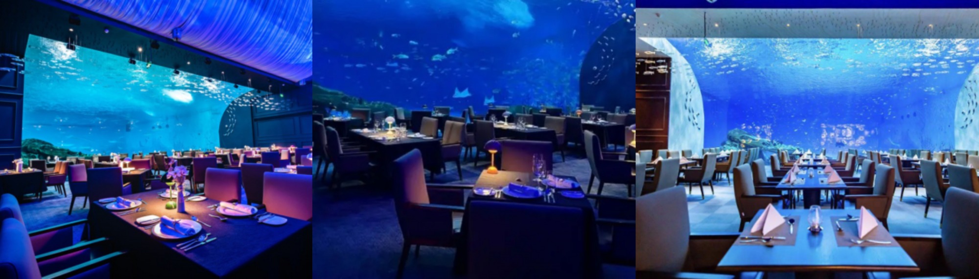 冰球突破-冰球电游豪华版_MG冰球游戏