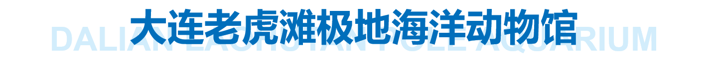 冰球突破-冰球电游豪华版_MG冰球游戏
