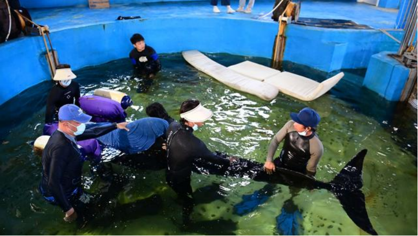 冰球突破-冰球电游豪华版_MG冰球游戏