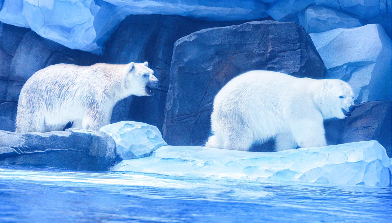 冰球突破-冰球电游豪华版_MG冰球游戏