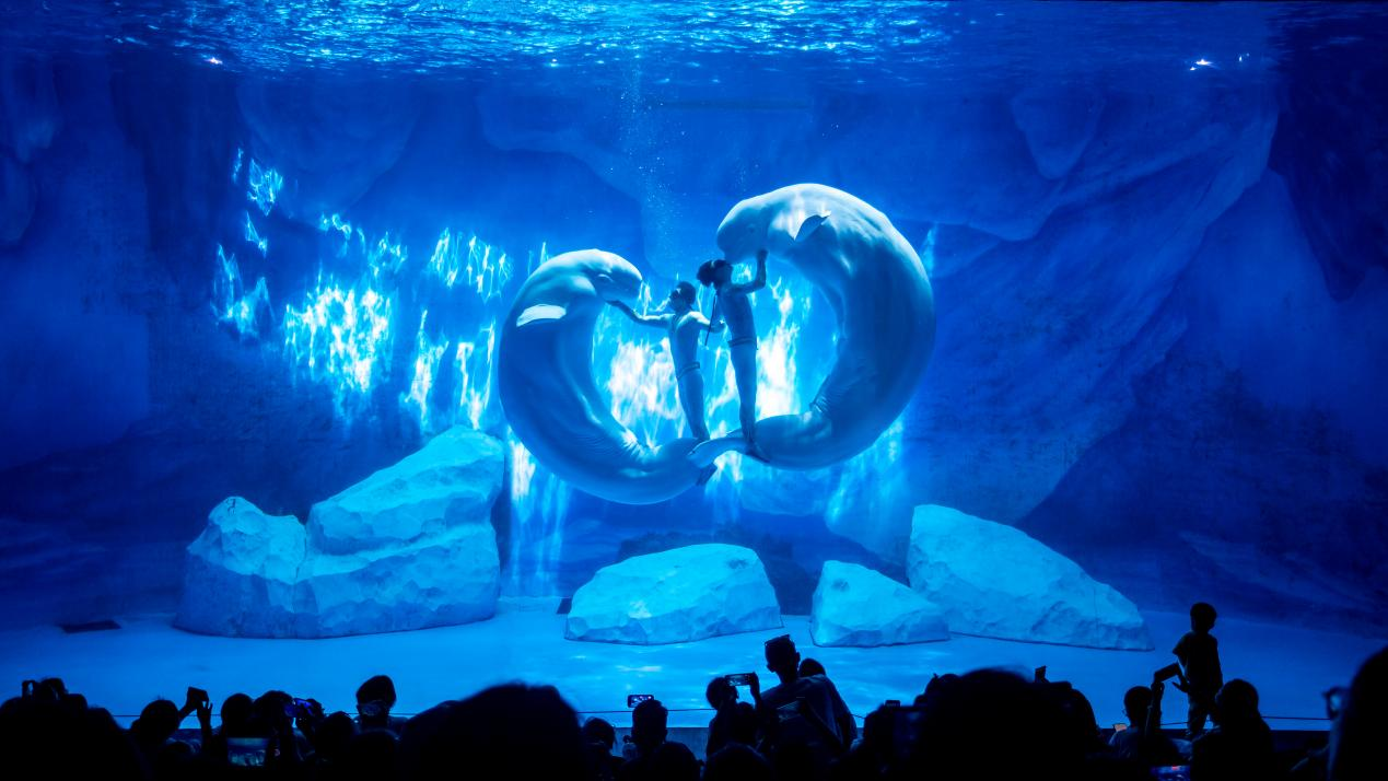 冰球突破-冰球电游豪华版_MG冰球游戏