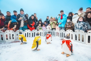 冰球突破-冰球电游豪华版_MG冰球游戏