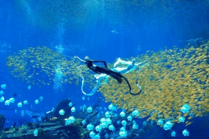 冰球突破-冰球电游豪华版_MG冰球游戏