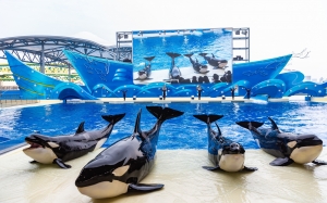 冰球突破-冰球电游豪华版_MG冰球游戏