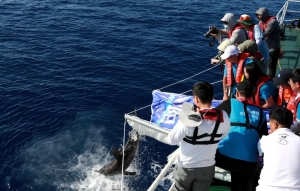 冰球突破-冰球电游豪华版_MG冰球游戏