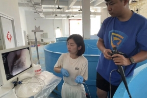 冰球突破-冰球电游豪华版_MG冰球游戏